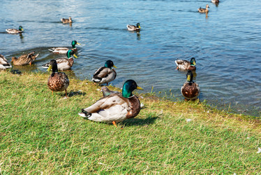 Similar image 21463387