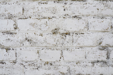 Similar image 21440935