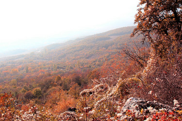 Similar image 21442034