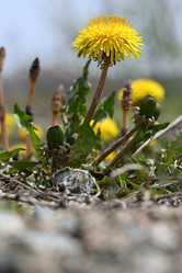 Similar image 21435204