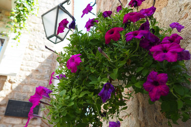 Similar image 21440709