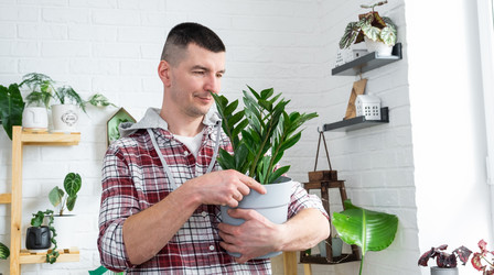 Similar image 21436728