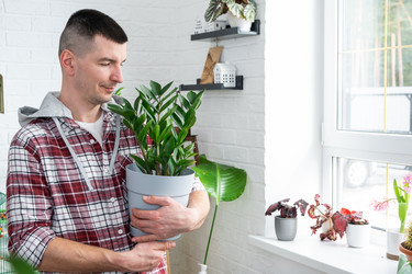 Similar image 21436729