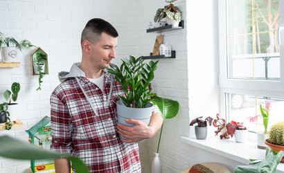 Similar image 21436730