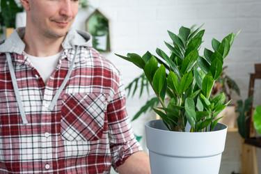 Similar image 21436733