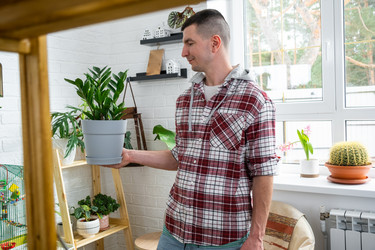 Similar image 21436735