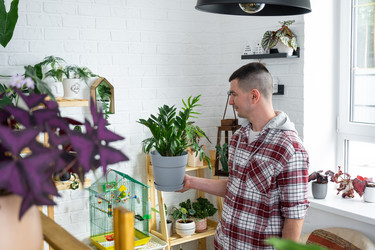 Similar image 21436736