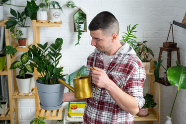 Similar image 21436737