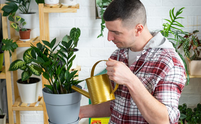 Similar image 21436739