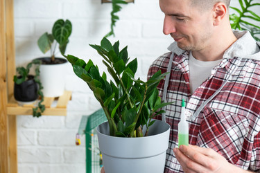 Similar image 21436743