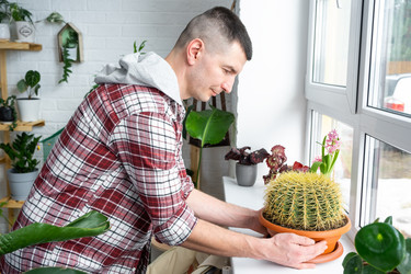 Similar image 21436748