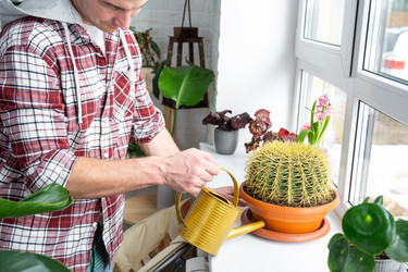 Similar image 21436749