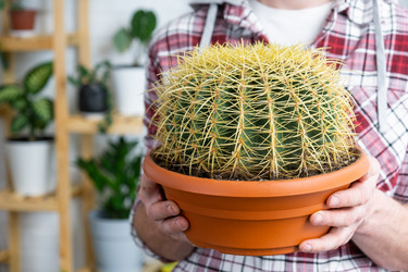 Similar image 21436753