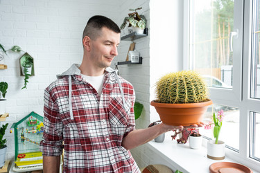 Similar image 21436754