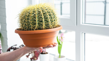 Similar image 21436756