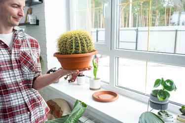 Similar image 21436757