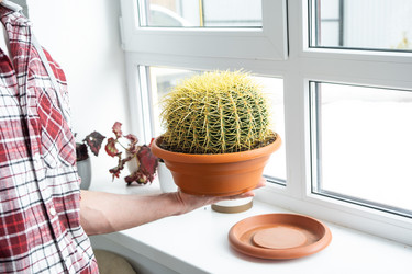 Similar image 21436758