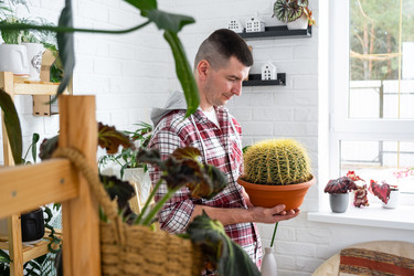 Similar image 21436760