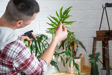 Similar image 21436769