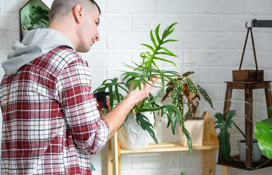 Similar image 21436772