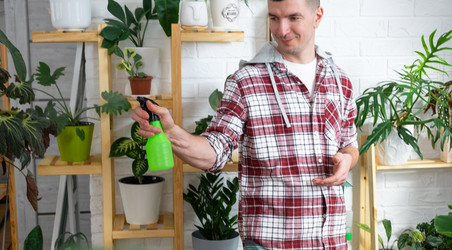 Similar image 21436775