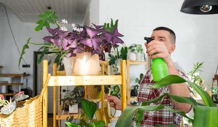 Similar image 21436778