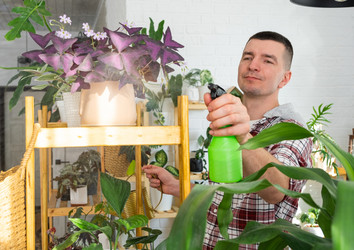 Similar image 21436779