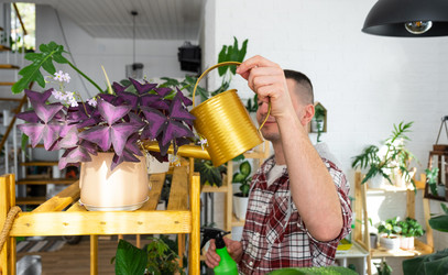 Similar image 21436785