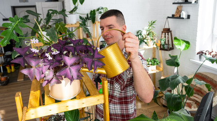 Similar image 21436786