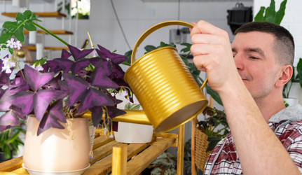 Similar image 21436787