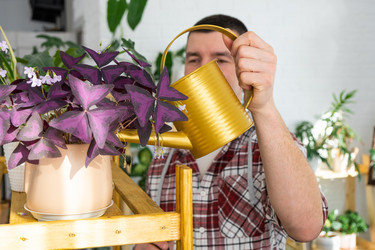 Similar image 21436788