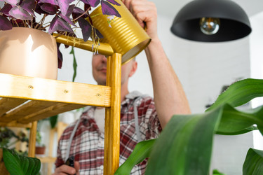 Similar image 21436789