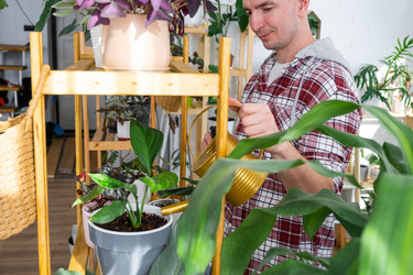 Similar image 21436790