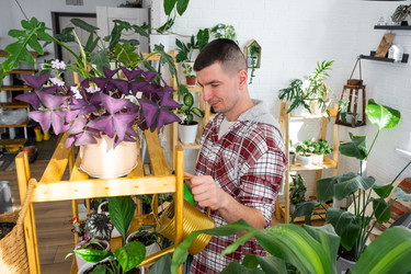 Similar image 21436791