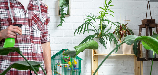 Similar image 21436796