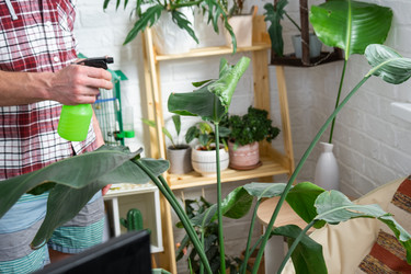 Similar image 21436797