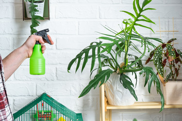 Similar image 21436801