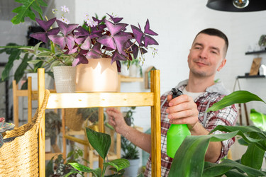 Similar image 21436803