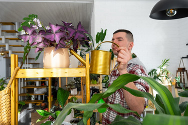 Similar image 21436806