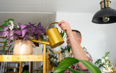 Similar image 21436807