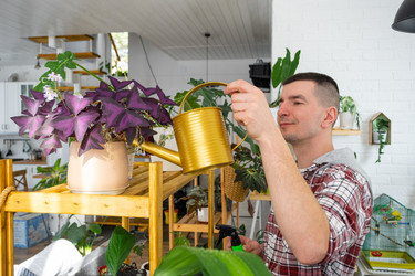 Similar image 21436808