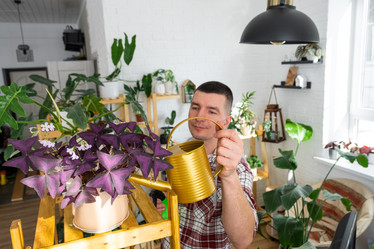 Similar image 21436809