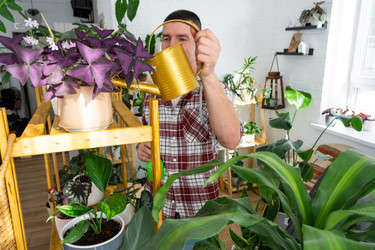 Similar image 21436810