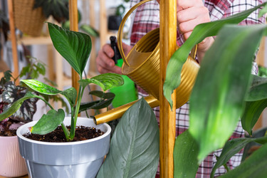 Similar image 21436811