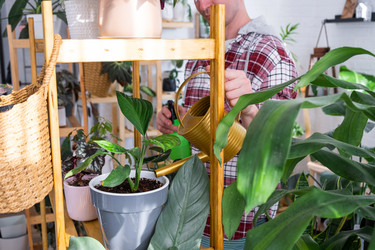 Similar image 21436812