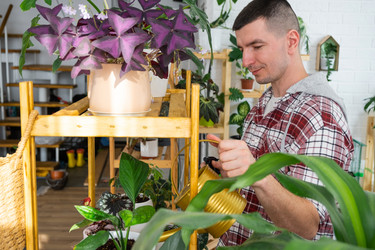 Similar image 21436813