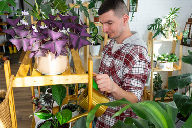 Similar image 21436814