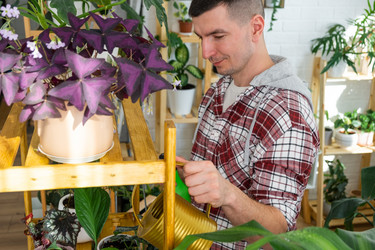 Similar image 21436815