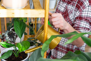 Similar image 21436817