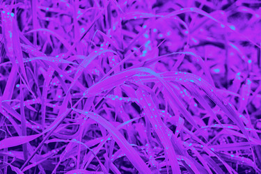 Similar image 21438082